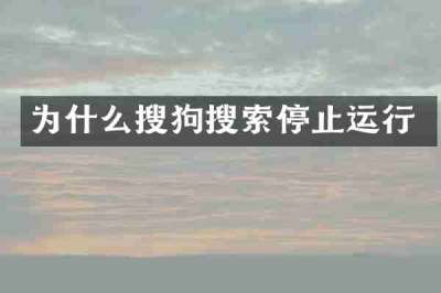 为什么搜狗搜索停止运行