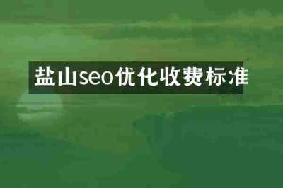盐山seo优化收费标准