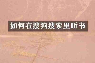 如何在搜狗搜索里听书