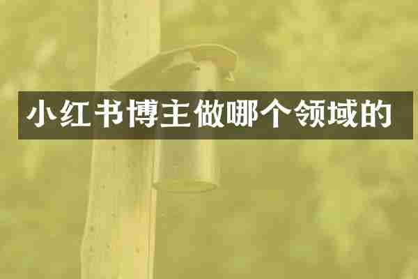 小红书博主做哪个领域的