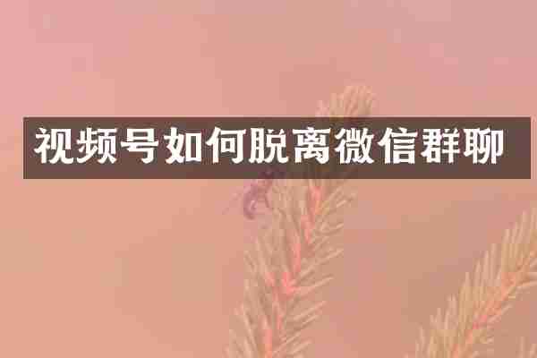视频号如何脱离微信群聊