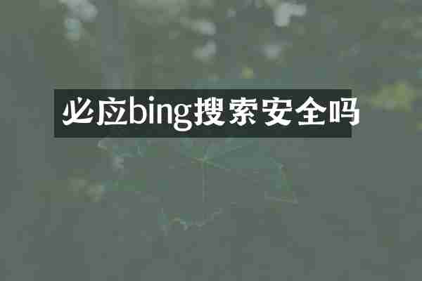 必应bing搜索安全吗