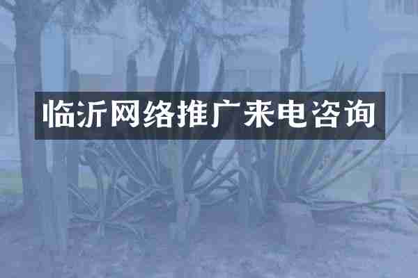 临沂网络推广来电咨询