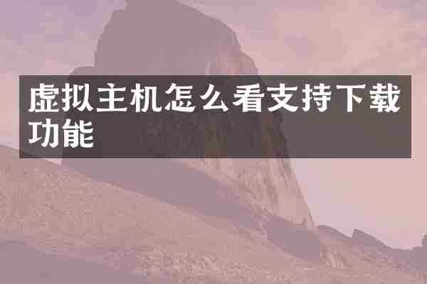 虚拟主机怎么看支持下载功能