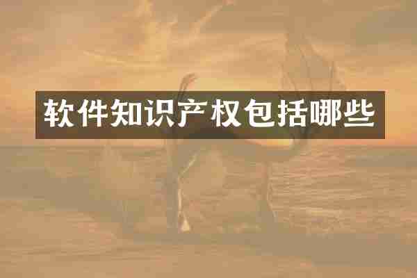 软件知识产权包括哪些