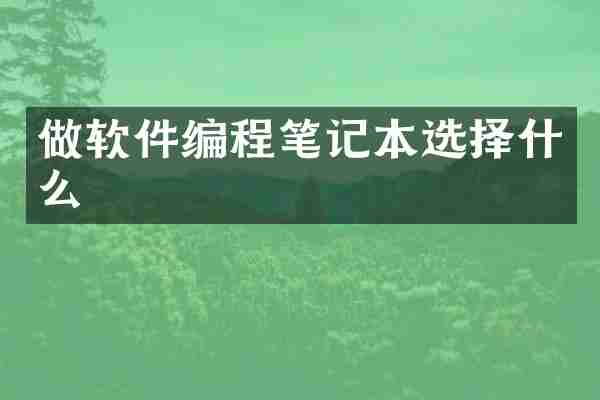 做软件编程笔记本选择什么