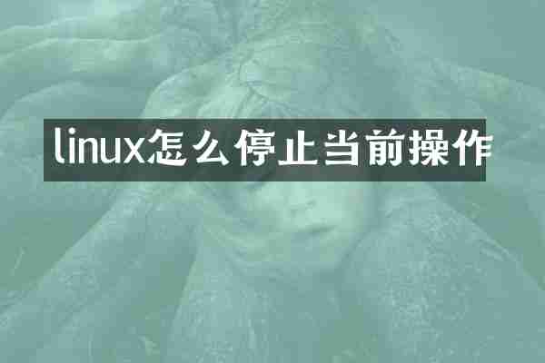 linux怎么停止当前操作