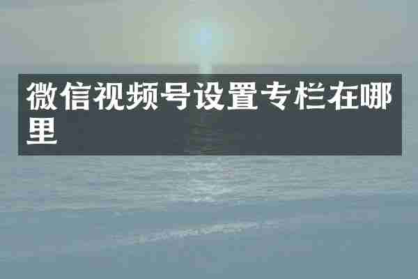 微信视频号设置专栏在哪里