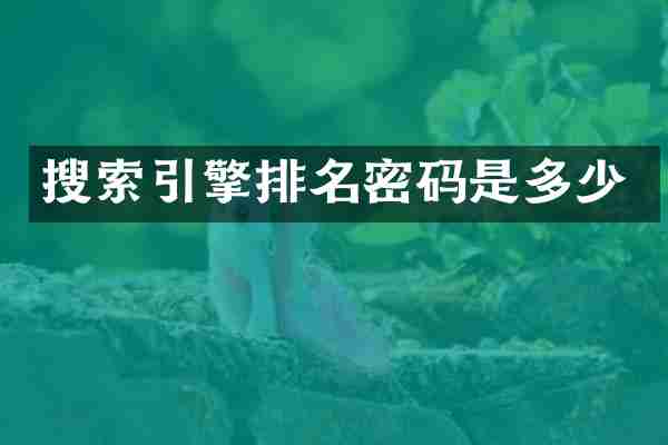 搜索引擎排名密码是多少