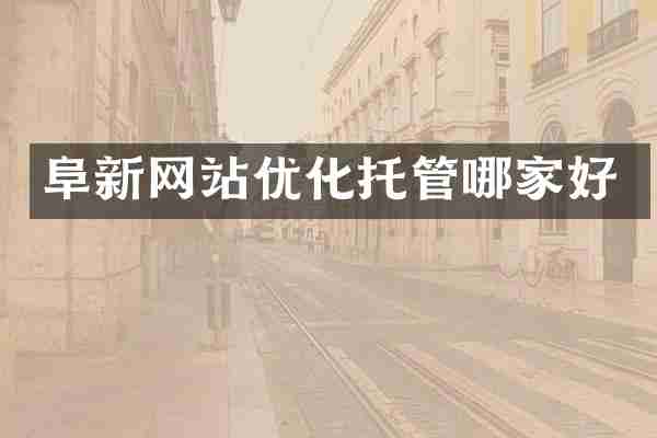 阜新网站优化托管哪家好