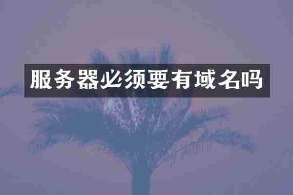 服务器必须要有域名吗