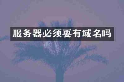 服务器必须要有域名吗