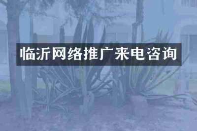 临沂网络推广来电咨询
