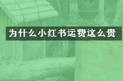 为什么小红书运费这么贵