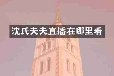 沈氏夫夫直播在哪里看