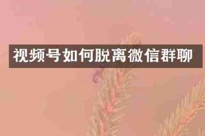 视频号如何脱离微信群聊