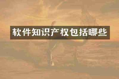 软件知识产权包括哪些