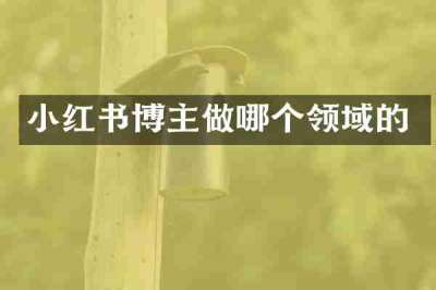 小红书博主做哪个领域的