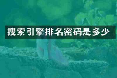 搜索引擎排名密码是多少