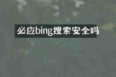 必应bing搜索安全吗