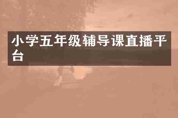 小学五年级辅导课直播平台