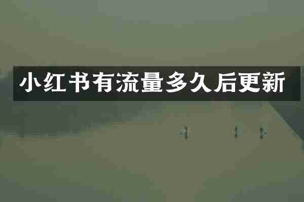 小红书有流量多久后更新