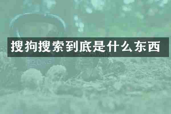 搜狗搜索到底是什么东西