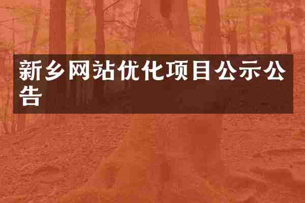 新乡网站优化项目公示公告