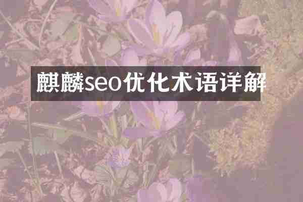 麒麟seo优化术语详解