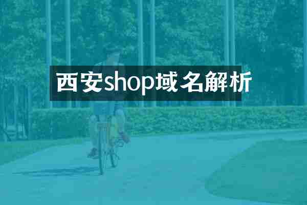 西安shop域名解析