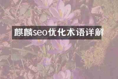 麒麟seo优化术语详解