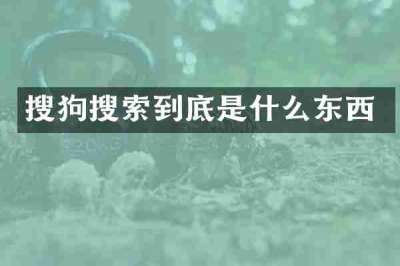 搜狗搜索到底是什么东西