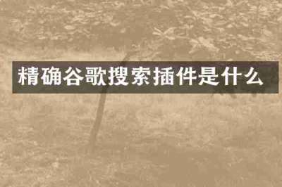 精确谷歌搜索插件是什么