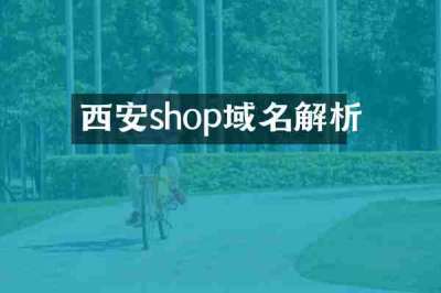 西安shop域名解析