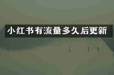 小红书有流量多久后更新