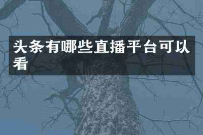 头条有哪些直播平台可以看