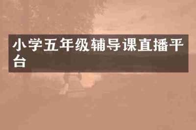 小学五年级辅导课直播平台