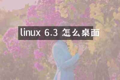 linux 6.3 怎么桌面