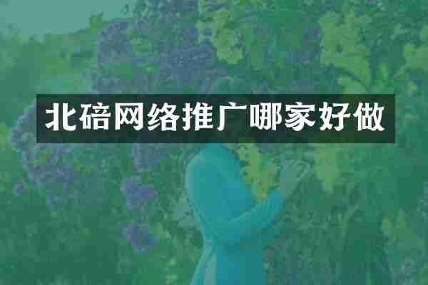 北碚网络推广哪家好做
