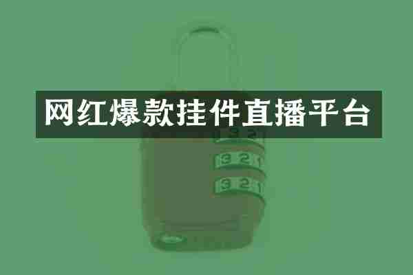 网红爆款挂件直播平台