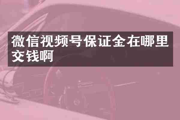 微信视频号保证金在哪里交钱啊