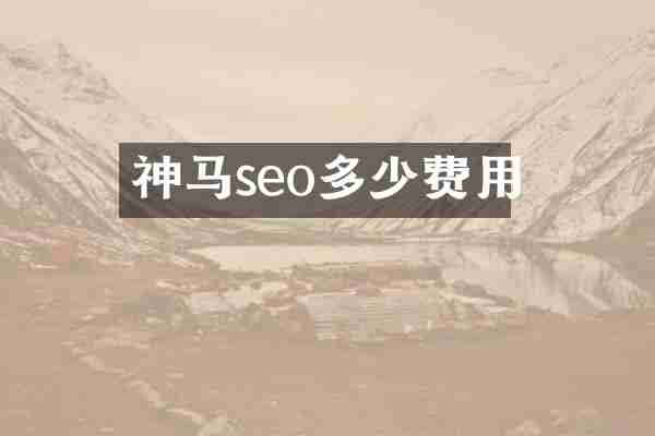 神马seo多少费用