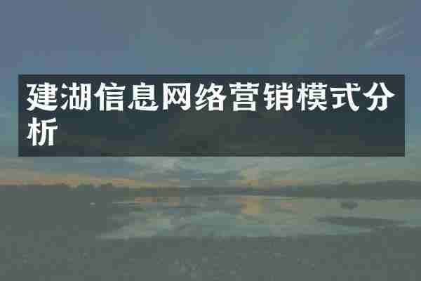 建湖信息网络营销模式分析