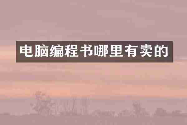 电脑编程书哪里有卖的