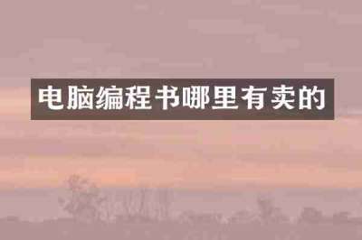 电脑编程书哪里有卖的