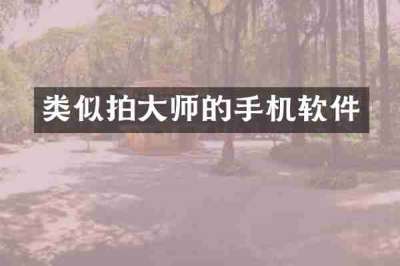 类似拍大师的手机软件