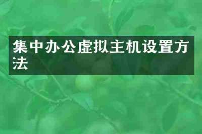 集中办公虚拟主机设置方法