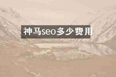 神马seo多少费用