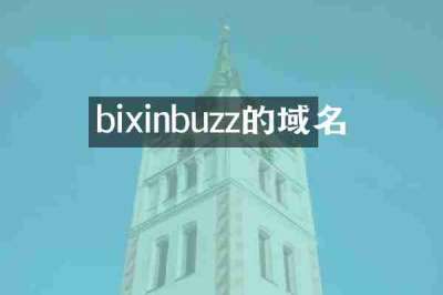 bixinbuzz的域名