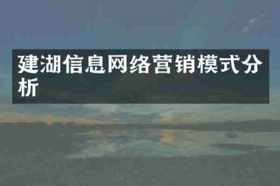 建湖信息网络营销模式分析